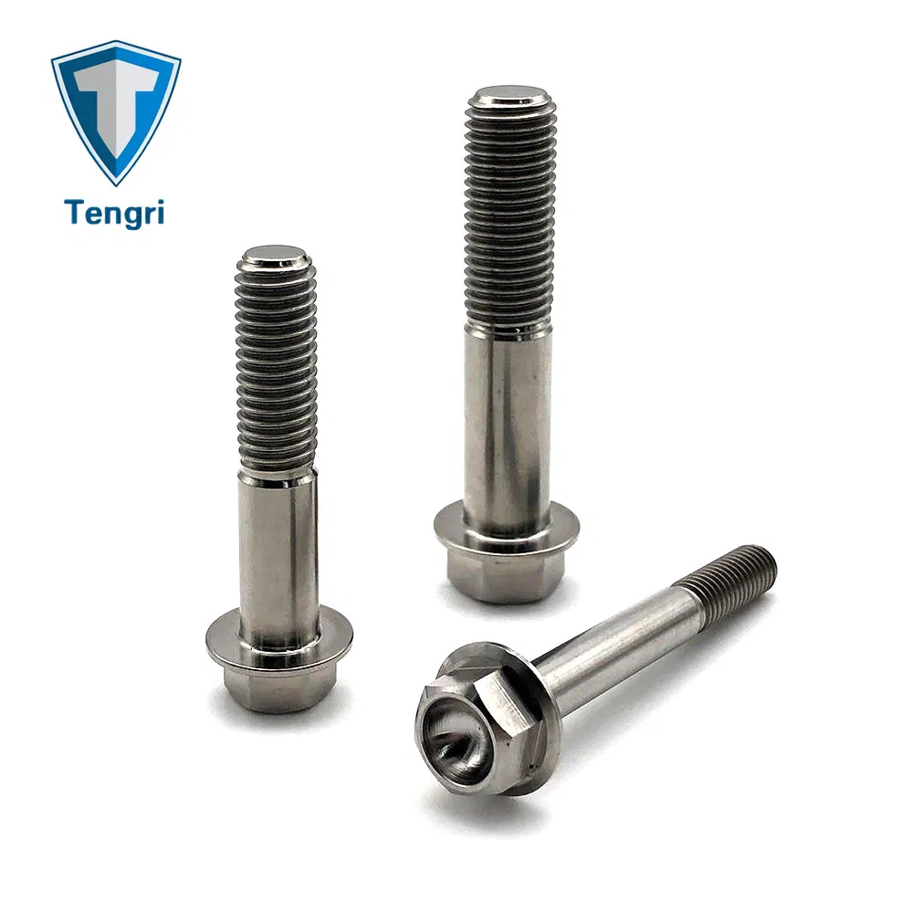 Anodized Colored Bicycle Motorcycle Titanium Screws and Screws